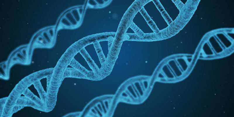 La prova del DNA è sempre attendibile STUDIO LEGALE cARPOCA mILANO